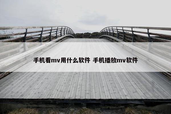 手机看mv用什么软件 手机播放mv软件