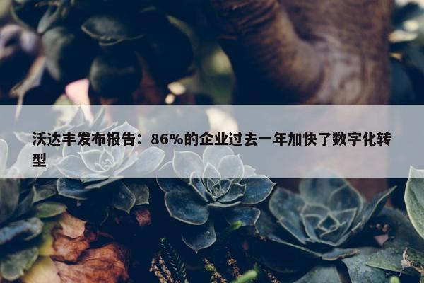 沃达丰发布报告：86%的企业过去一年加快了数字化转型