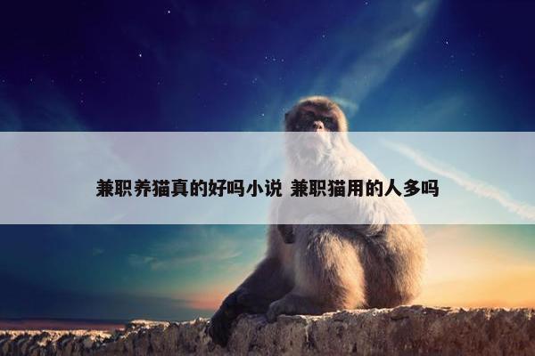 兼职养猫真的好吗小说 兼职猫用的人多吗