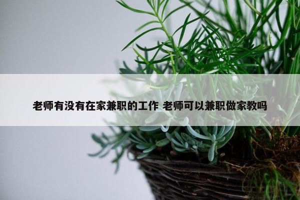 老师有没有在家兼职的工作 老师可以兼职做家教吗