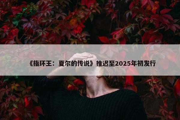 《指环王：夏尔的传说》推迟至2025年初发行