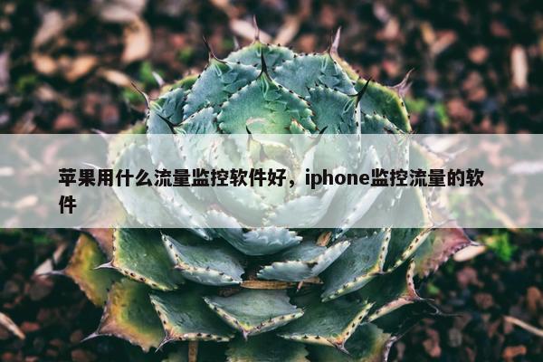 苹果用什么流量监控软件好，iphone监控流量的软件