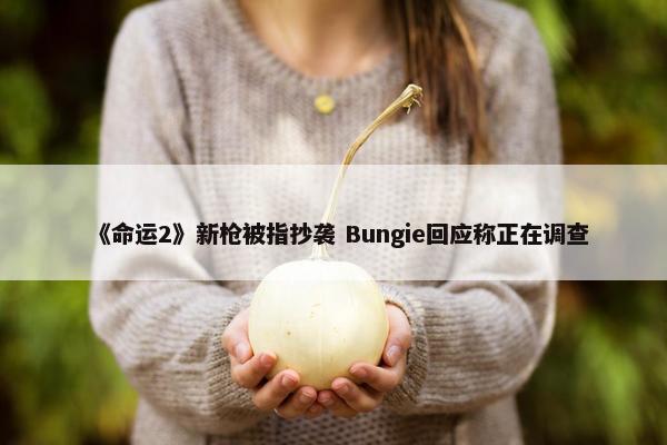 《命运2》新枪被指抄袭 Bungie回应称正在调查