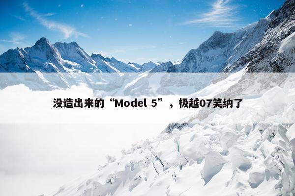 没造出来的“Model 5”，极越07笑纳了