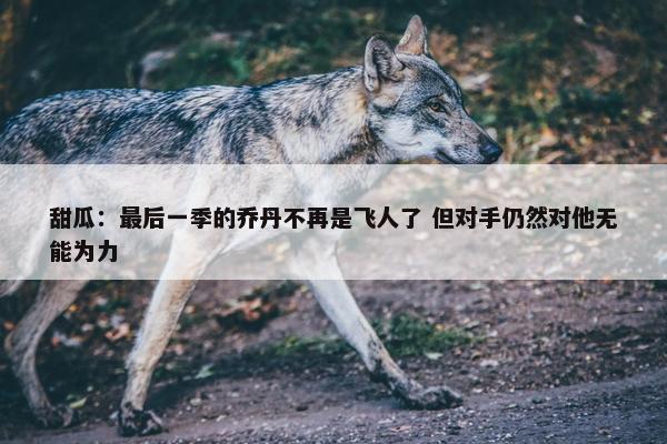 甜瓜：最后一季的乔丹不再是飞人了 但对手仍然对他无能为力