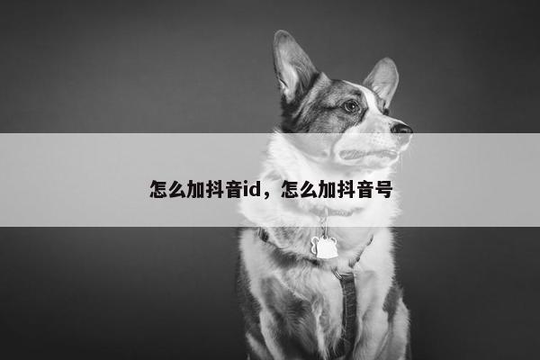 怎么加抖音id，怎么加抖音号