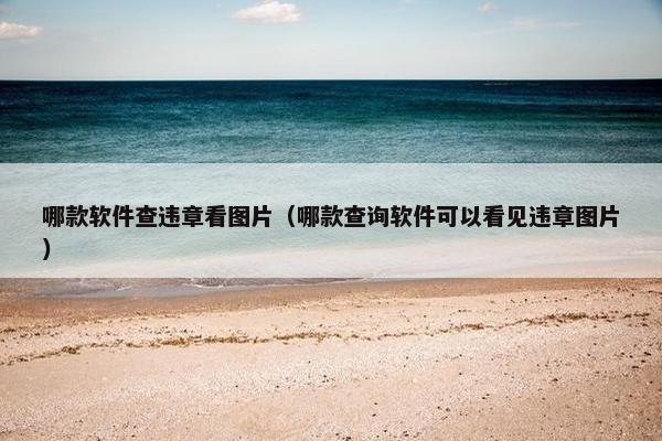 哪款软件查违章看图片（哪款查询软件可以看见违章图片）