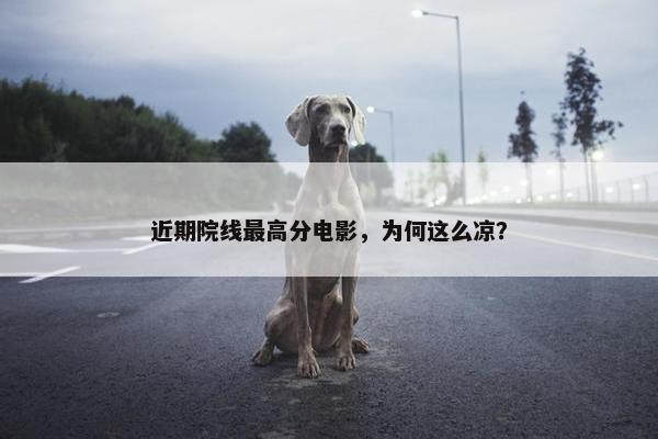 近期院线最高分电影，为何这么凉？