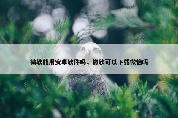 微软能用安卓软件吗，微软可以下载微信吗