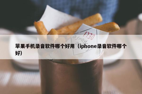 苹果手机录音软件哪个好用（iphone录音软件哪个好）