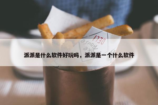 派派是什么软件好玩吗，派派是一个什么软件