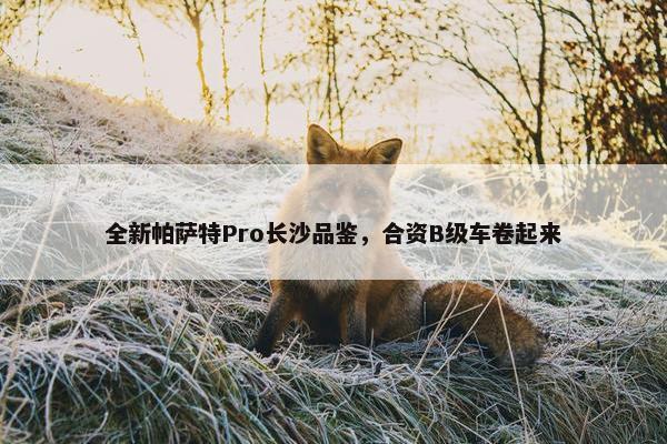 全新帕萨特Pro长沙品鉴，合资B级车卷起来