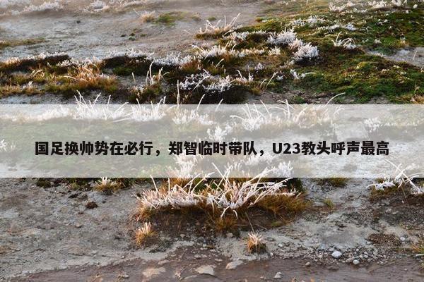 国足换帅势在必行，郑智临时带队，U23教头呼声最高