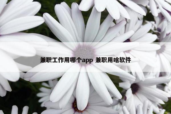 兼职工作用哪个app 兼职用啥软件