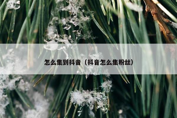 怎么集到抖音（抖音怎么集粉丝）