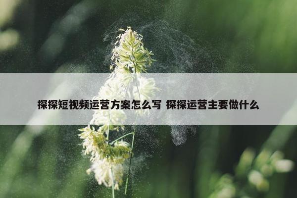 探探短视频运营方案怎么写 探探运营主要做什么