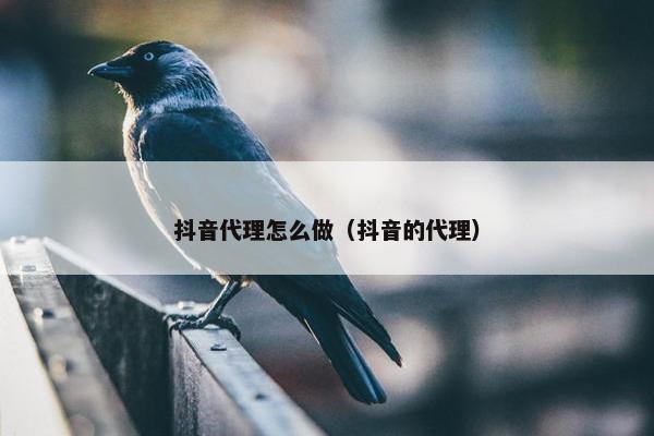 抖音代理怎么做（抖音的代理）