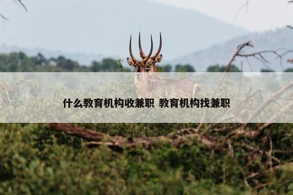 什么教育机构收兼职 教育机构找兼职