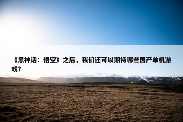 《黑神话：悟空》之后，我们还可以期待哪些国产单机游戏？