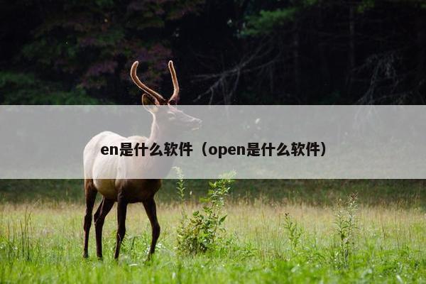 en是什么软件（open是什么软件）