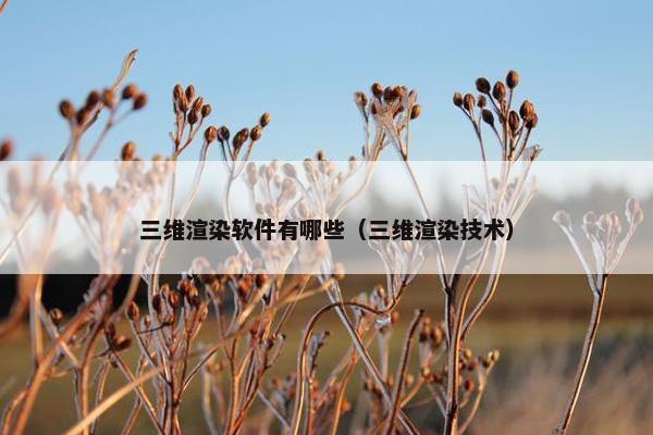 三维渲染软件有哪些（三维渲染技术）