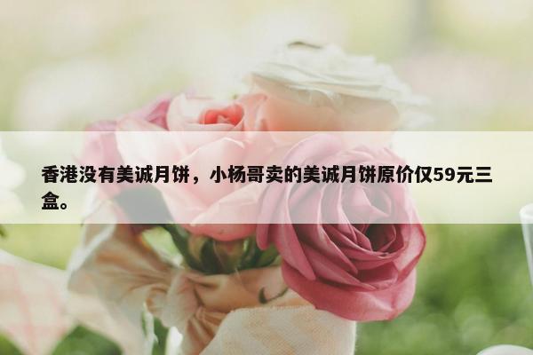 香港没有美诚月饼，小杨哥卖的美诚月饼原价仅59元三盒。