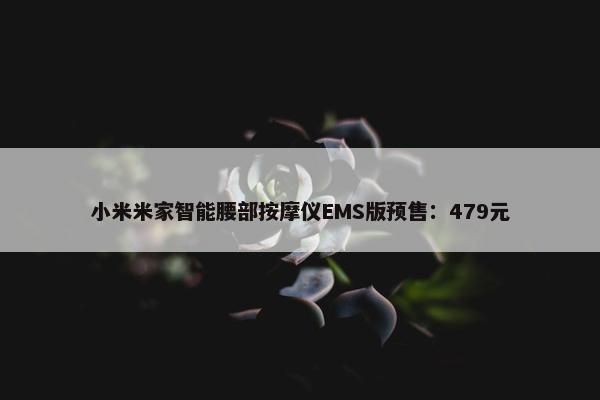 小米米家智能腰部按摩仪EMS版预售：479元