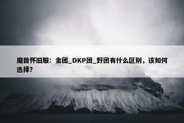 魔兽怀旧服：金团_DKP团_野团有什么区别，该如何选择？