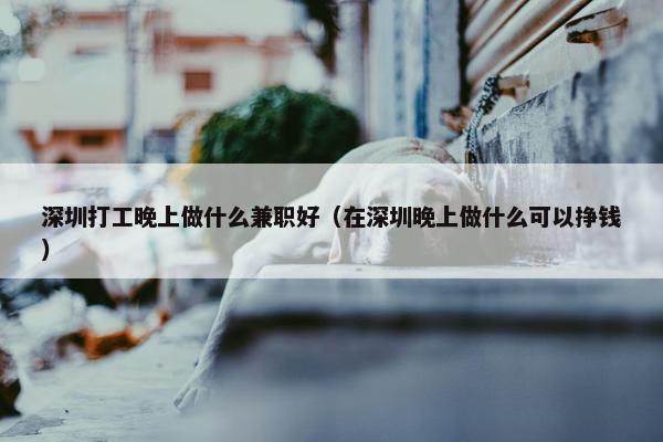 深圳打工晚上做什么兼职好（在深圳晚上做什么可以挣钱）