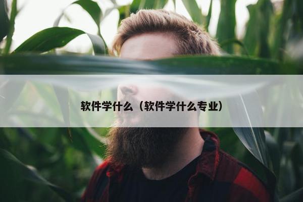 软件学什么（软件学什么专业）