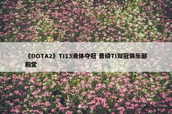 《DOTA2》TI13液体夺冠 晋级TI双冠俱乐部殿堂