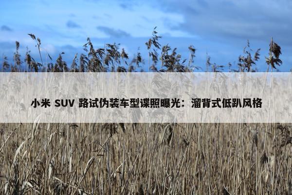 小米 SUV 路试伪装车型谍照曝光：溜背式低趴风格