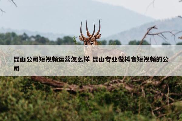 昆山公司短视频运营怎么样 昆山专业做抖音短视频的公司