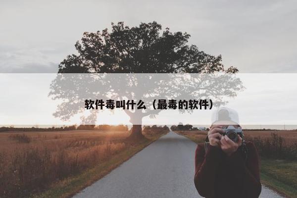 软件毒叫什么（最毒的软件）