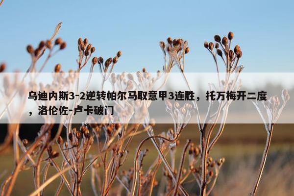 乌迪内斯3-2逆转帕尔马取意甲3连胜，托万梅开二度，洛伦佐-卢卡破门