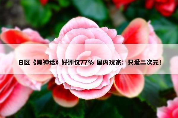 日区《黑神话》好评仅77% 国内玩家：只爱二次元！