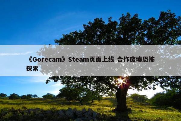 《Gorecam》Steam页面上线 合作废墟恐怖探索