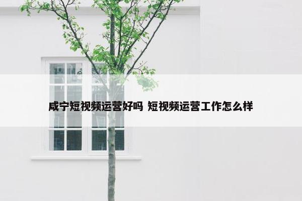 咸宁短视频运营好吗 短视频运营工作怎么样