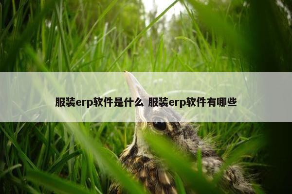 服装erp软件是什么 服装erp软件有哪些