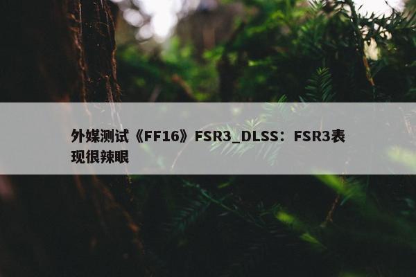 外媒测试《FF16》FSR3_DLSS：FSR3表现很辣眼