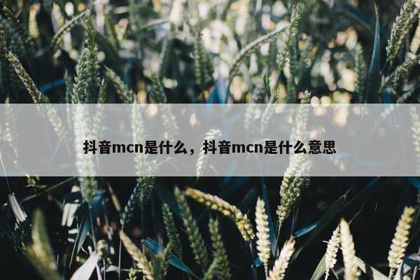 抖音mcn是什么，抖音mcn是什么意思