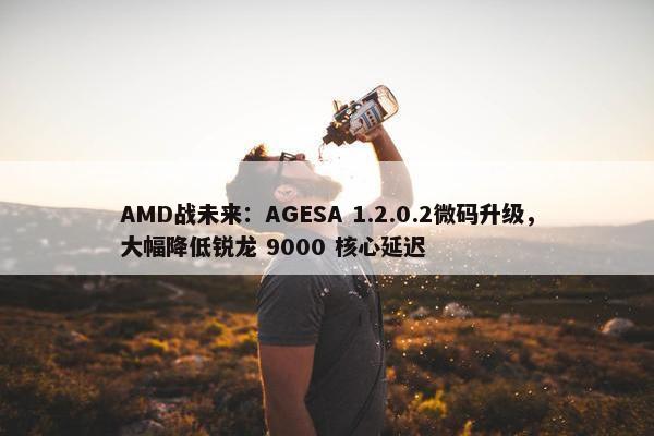 AMD战未来：AGESA 1.2.0.2微码升级，大幅降低锐龙 9000 核心延迟