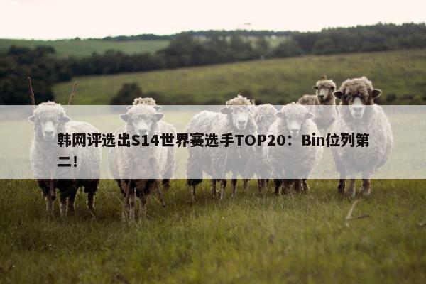 韩网评选出S14世界赛选手TOP20：Bin位列第二！