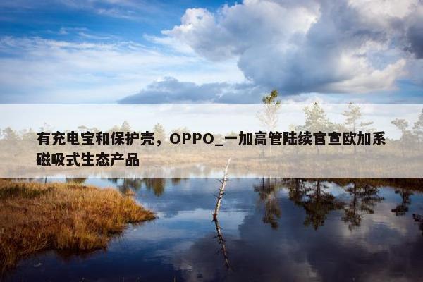 有充电宝和保护壳，OPPO_一加高管陆续官宣欧加系磁吸式生态产品