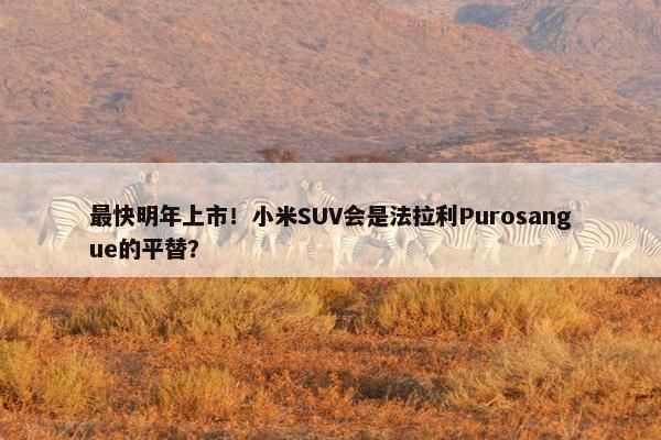 最快明年上市！小米SUV会是法拉利Purosangue的平替？