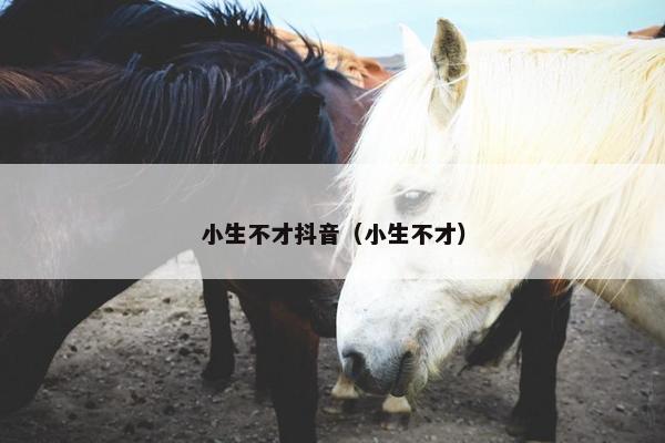 小生不才抖音（小生不才）