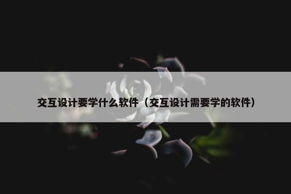 交互设计要学什么软件（交互设计需要学的软件）