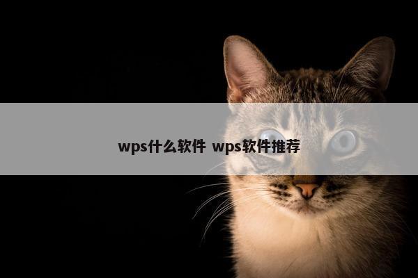 wps什么软件 wps软件推荐