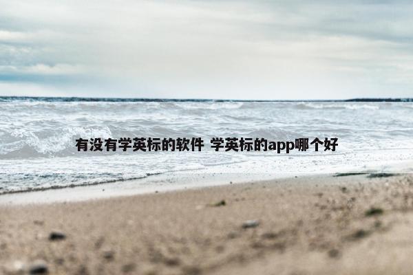 有没有学英标的软件 学英标的app哪个好