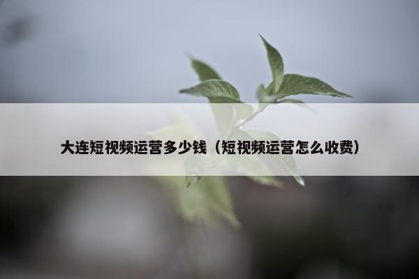 大连短视频运营多少钱（短视频运营怎么收费）